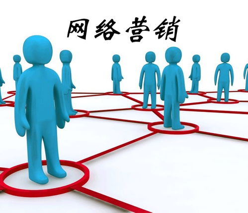 互聯(lián)網(wǎng)服務(wù)行業(yè)新人必知的網(wǎng)絡(luò)營銷推廣方法