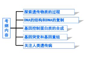 蘇教版高中生物必修二第四章第1節探索遺傳物質的過程