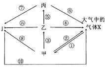 生態系統碳循環分析 光合作用、化能合成作用與海洋生物活性物質提取的關聯