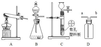 化學用語填空與海洋生物活性物質提取簡述